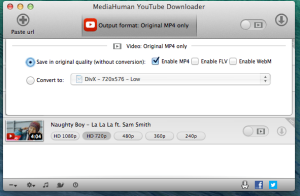 MediaHuman Downloader Pro 4.1.1.26 Crack With Latest 2022